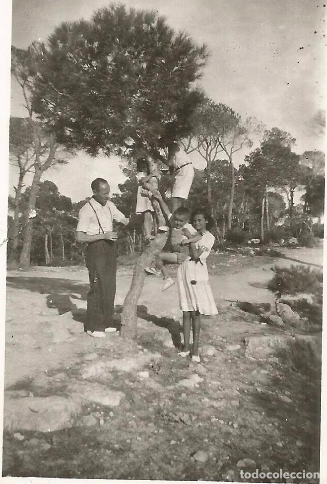 Antique Photography: *** AB292 - FOTOGRAFIA - PAREJA CON UNOS JOVENCITOS SUBIDOS EN UN ARBOL