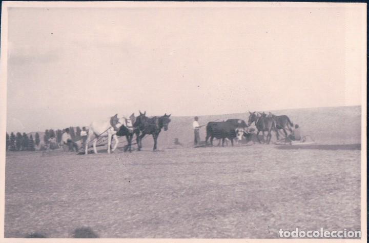 Fotograf&iacute;a antigua: FOTOGRAFIA ANTIGUA DE ALCALA LA REAL - JAEN, RECOLECCION TRILLA 11*8 CM. SPAIN. ESPAGNE ESPA&Ntilde;A