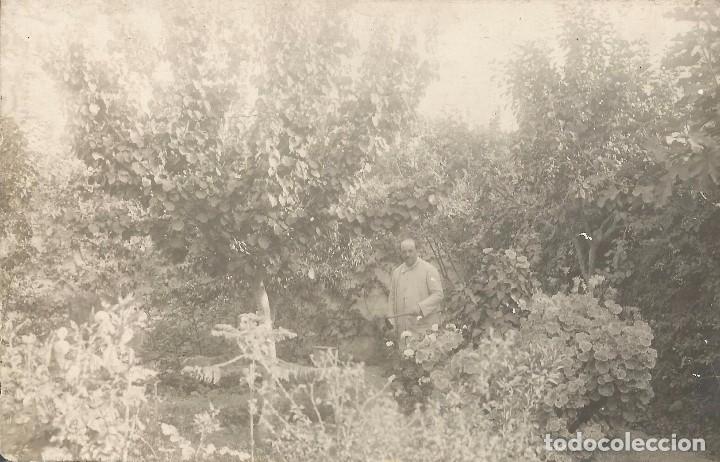 Fotograf&iacute;a antigua: == AB808 - FOTOGRAFIA - SE&Ntilde;OR ENTRE PLANTAS