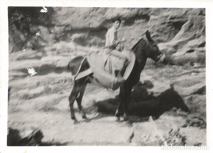 Photographie ancienne: ** AC427 - FOTOGRAFIA - JOVEN SUBIDO EN UN BURRITO - RF. C41