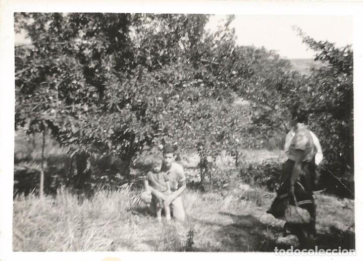 Alte Fotografie: ** AC462 - FOTOGRAFIA - FAMILIA EN EL CAMPO - RF. C41