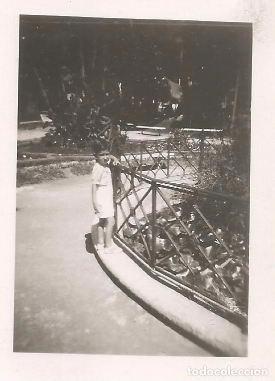 Alte Fotografie: ** FP492 - FOTOGRAFIA PEQUE&Ntilde;O FORMATO - NI&Ntilde;O EN UN JARDIN - 7 X 5 CM. - RF. C41