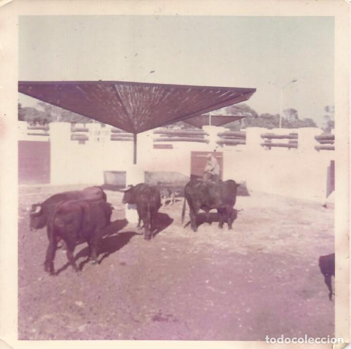 Fotografia antiga: ** AB687 - FOTOGRAFIA - TOROS EN LA VENTA DEL SALER - RF. D15
