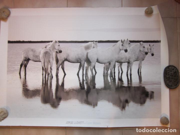 Fotograf&iacute;a antigua: Antigua gigantesca fotografia original de jorge llovet, tipo cartel.