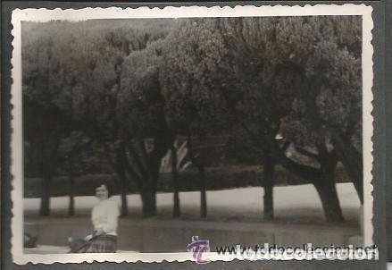 Antique Photography: ^^^ B68 - FOTOGRAFIA - SE&Ntilde;ORITA SENTADA ENTRE ARBOLES