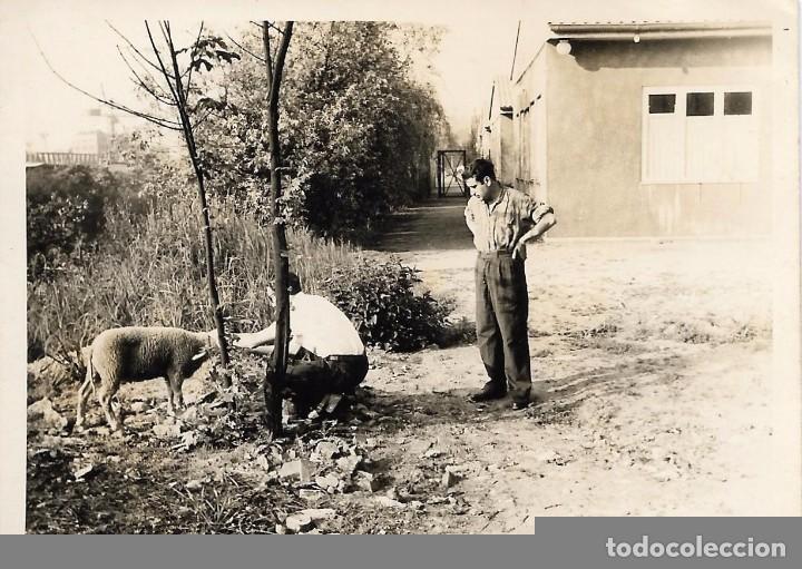 Antique Photography: ** RT875 - FOTOGRAFIA - DOS AMIGOS CON UN CORDERITO