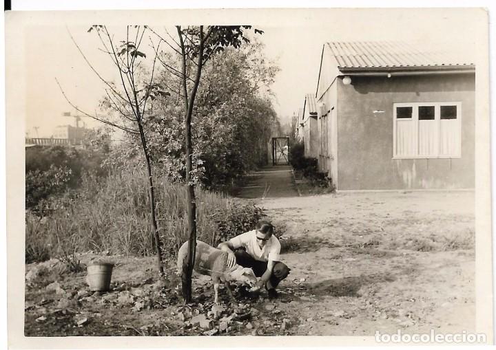 Fotografia antica: ** S640 - FOTOGRAFIA - SE&Ntilde;OR CON UNA OVEJITA
