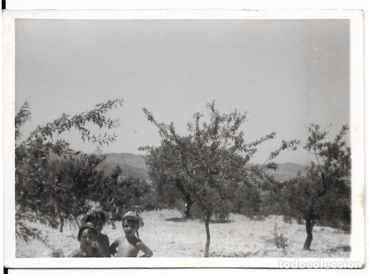 Fotografia antiga: ** H783 - FOTOGRAFIA - DOS NI&Ntilde;ITOS EN EL CAMPO