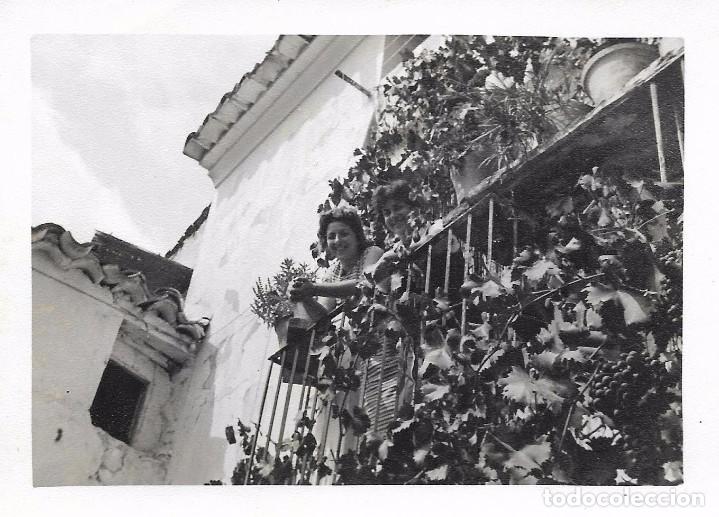 Fotografia antiga: *** AC218 - FOTOGRAFIA - SE&Ntilde;ORA ASOMADA EN UN BALC&Oacute;N LLENO DE PLANTAS