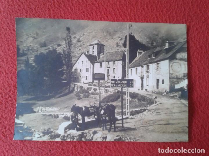 Fotograf&iacute;a antigua: FOTO PHOTO A IDENTIFICAR HOMBRE GRUPO ASNOS BURROS ? POINT DE VUE DU CIRQUE PIED LA CASCADE FRANCIA?