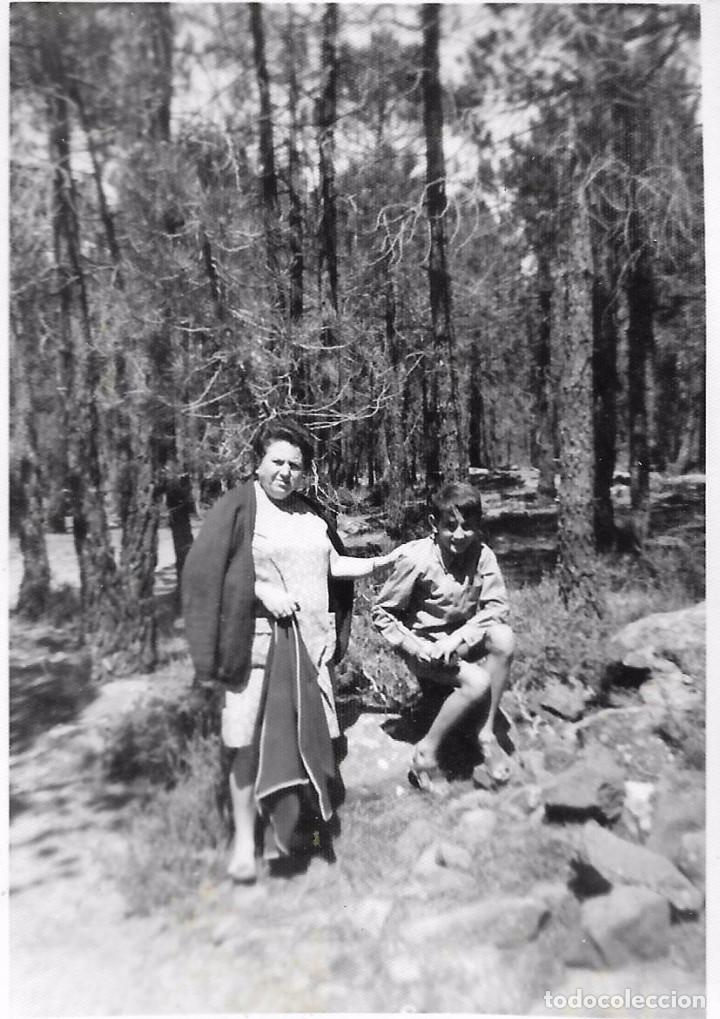 Fotograf&iacute;a antigua: ** K475 - FOTOGRAFIA - SE&Ntilde;ORA Y JOVENCITO EN EL BOSQUE