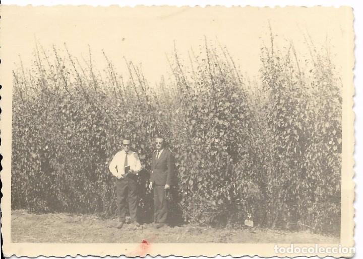 Alte Fotografie: ** AN152 - FOTOGRAFIA - DOS AMIGOS EN UNA ESTACION ALGODONERA - 1959
