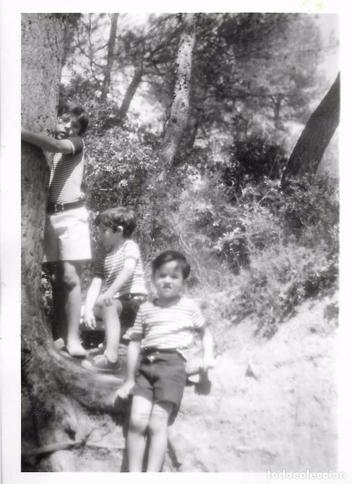 Alte Fotografie: ** AN492 - FOTOGRAFIA - JOVENCITOS JUNTO A UN ARBOL