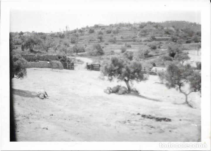 Alte Fotografie: ** AN494 - FOTOGRAFIA - PAISAJE