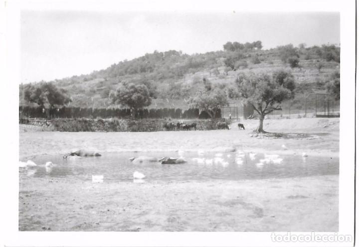 Fotografia antiga: ** AN525 - FOTOGRAFIA - PAISAJE