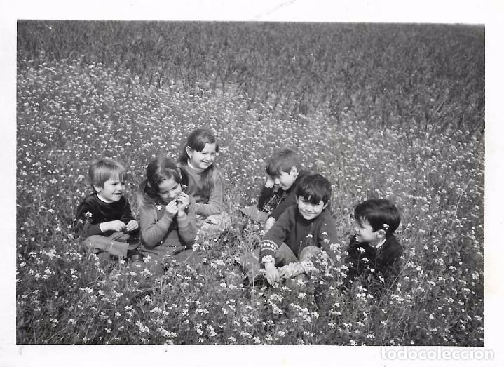 Fotograf&iacute;a antigua: ** AN567 - FOTOGRAFIA - GRUPO DE NI&Ntilde;OS EN EL CAMPO