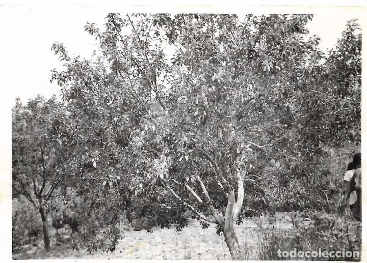 Fotograf&iacute;a antigua: ** AN784 - FOTOGRAFIA - PAISAJE