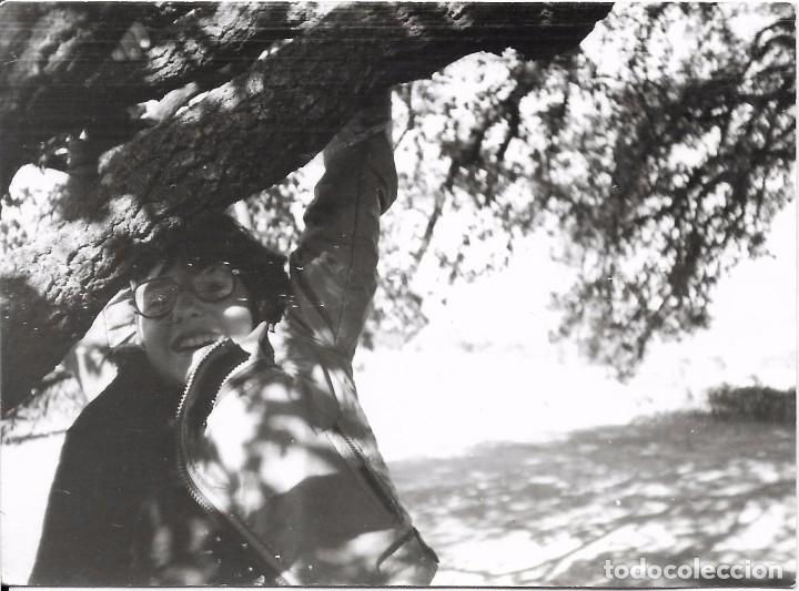 Antique Photography: *** QZ200 - FOTOGRAFIA - JOVENCITO ARRAGADO A LA RAMA DE UN ARBOL