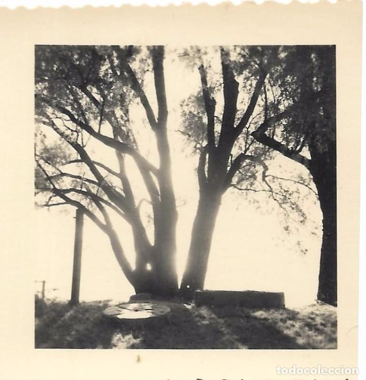 Fotografia antica: :::: WW81 - FOTOGRAFIA - PAISAJE - 7 X 7 CM.