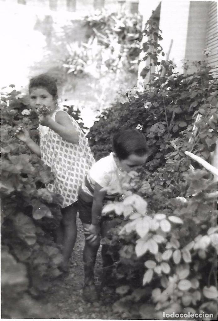 Fotografia antica: ** RT444 - FOTOGRAFIA - DOS JOVENCITOS ENTRE PLANTAS