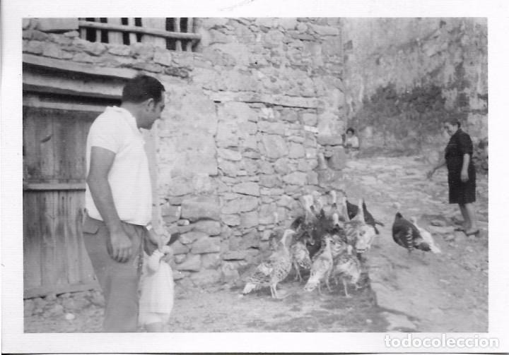 Fotograf&iacute;a antigua: ** AN970 - FOTOGRAFIA - SE&Ntilde;OR CON UNOS PAVOS