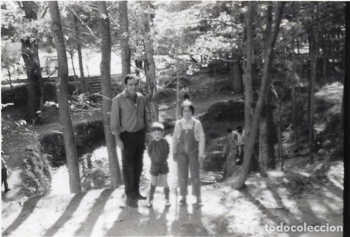 Fotograf&iacute;a antigua: ** AN976 - FOTOGRAFIA - SE&Ntilde;OR CON DOS JOVENCITOS EN UN BOSQUE
