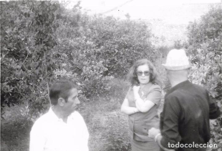 Antique Photography: == F528 - FOTOGRAFIA - AMIGOS EN EL CAMPO
