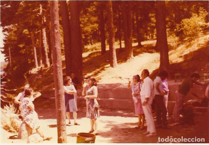 Fotografia antica: == N569 - FOTOGRAFIA - GRUPO DE AMIGOS EN UN BOSQUE