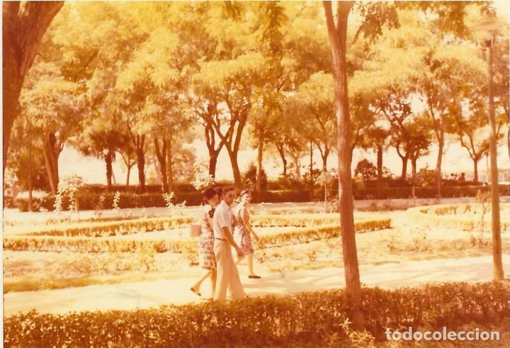 Fotografia antica: == N590 - FOTOGRAFIA - AMIGOS DE PASEO POR EL CAMPO
