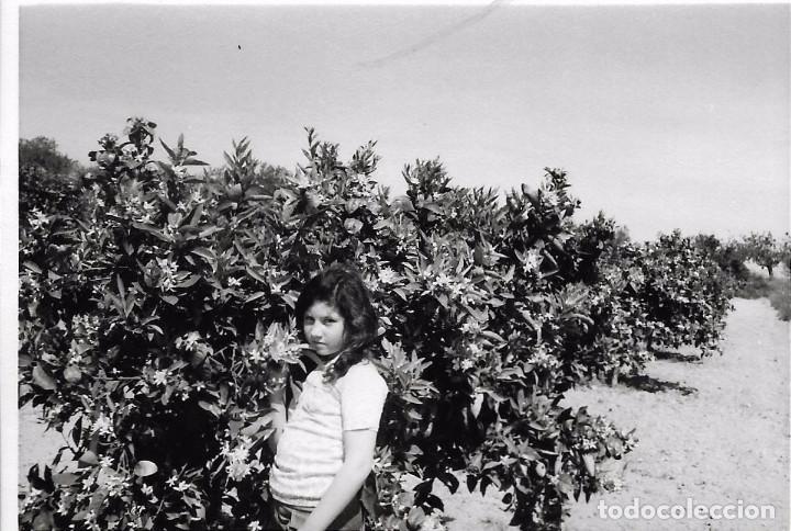 Fotografia antiga: == F273 - FOTOGRAFIA - JOVENCITA ENTRE NARANJOS