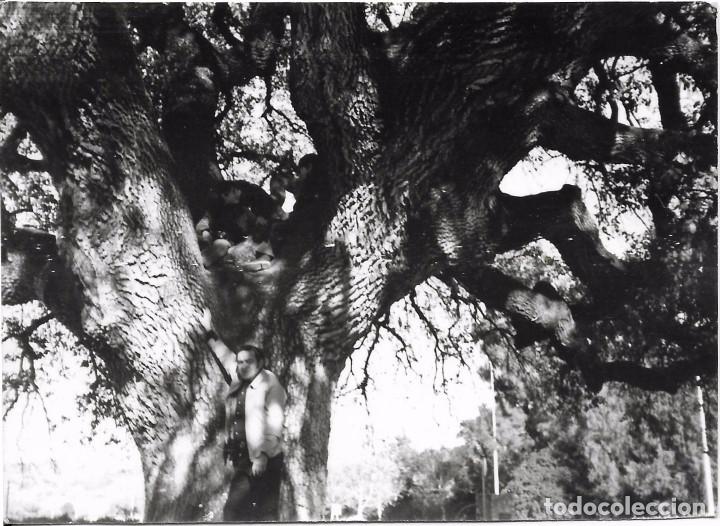Fotografia antica: == N579 - FOTOGRAFIA - SE&Ntilde;OR JUNTO A UN GRAN ARBOL
