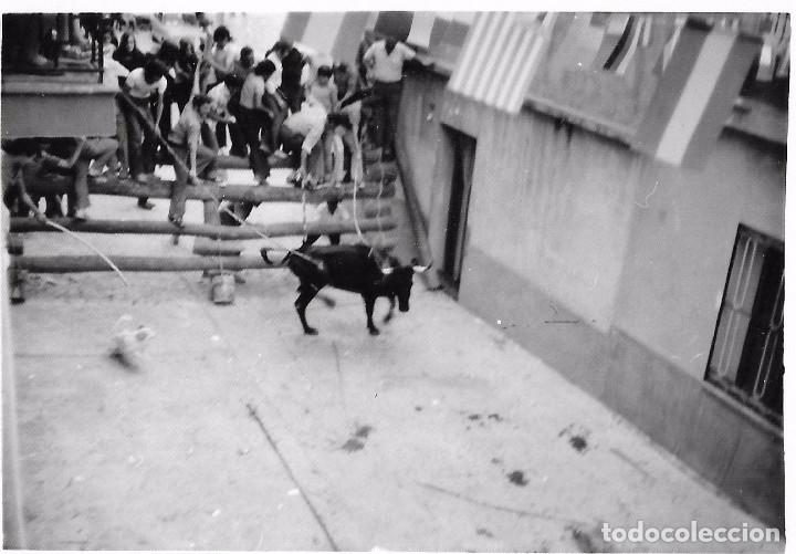 Fotografia antica: *** D270 - FOTOGRAFIA - BOUS AL CARRER