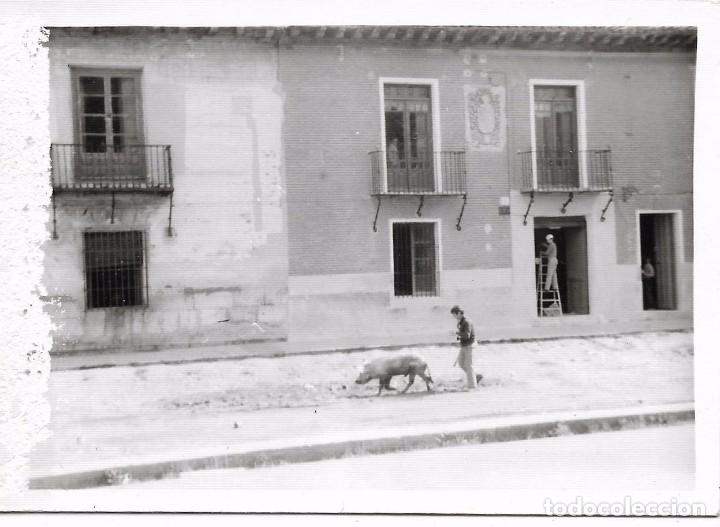 Fotografia antiga: == A443 - FOTOGRAFIA - SE&Ntilde;OR DE PASEO CON SU PERRO