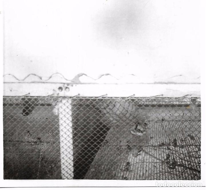 Fotografia antiga: ** AB669 - FOTOGRAFIA - JAULAS DE AVES