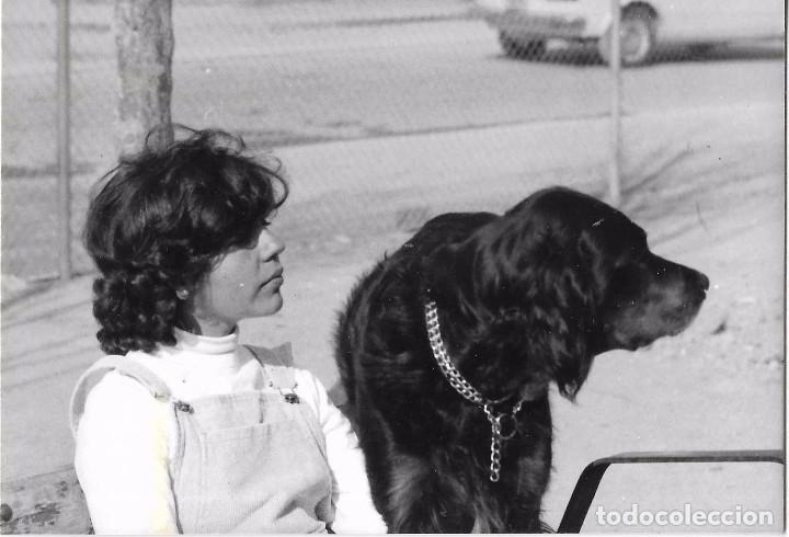 Antique Photography: *** QW607 - FOTOGRAFIA - JOVEN CON UN PERRITO