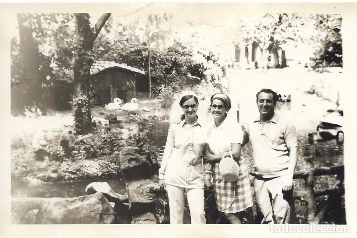 Fotografia antiga: *** QA40 - FOTOGRAFIA - TRES AMIGOS EN UN BONITO PAISAJE