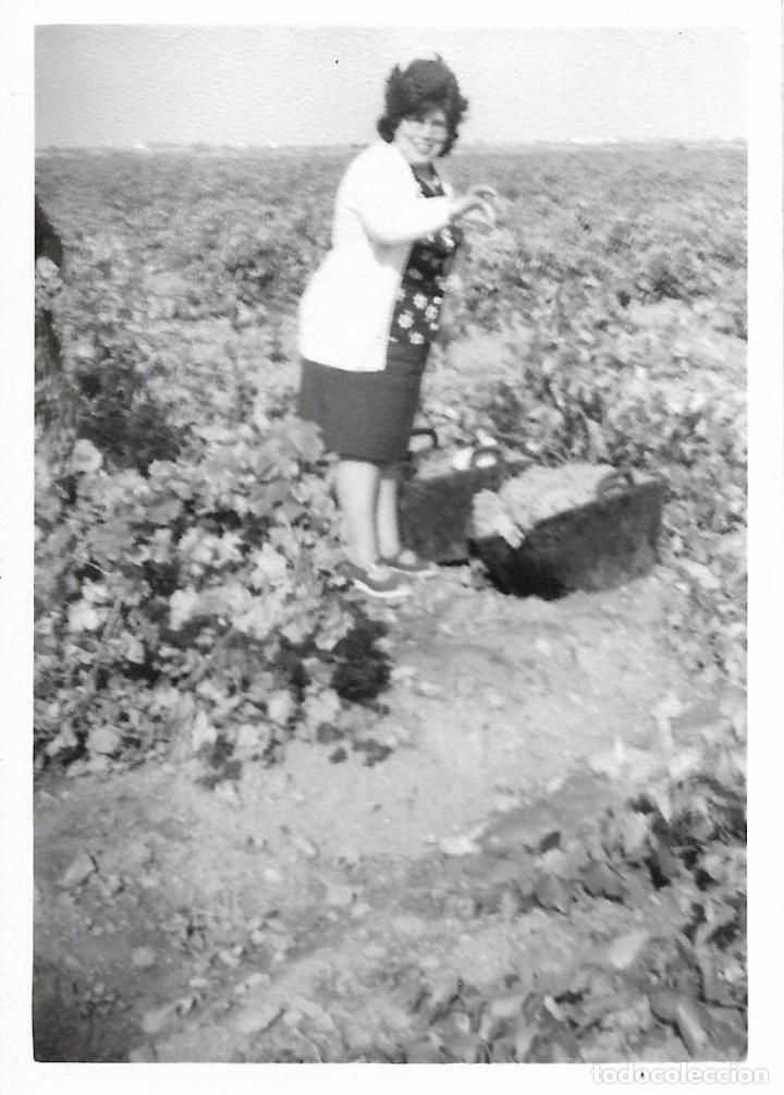 Fotografia antiga: ** SS838 - FOTOGRAFIA - SE&Ntilde;ORA EN EL CAMPO