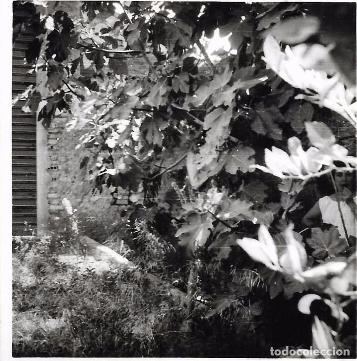 Fotografia antica: ** AM39 - FOTOGRAFIA - PAISAJE