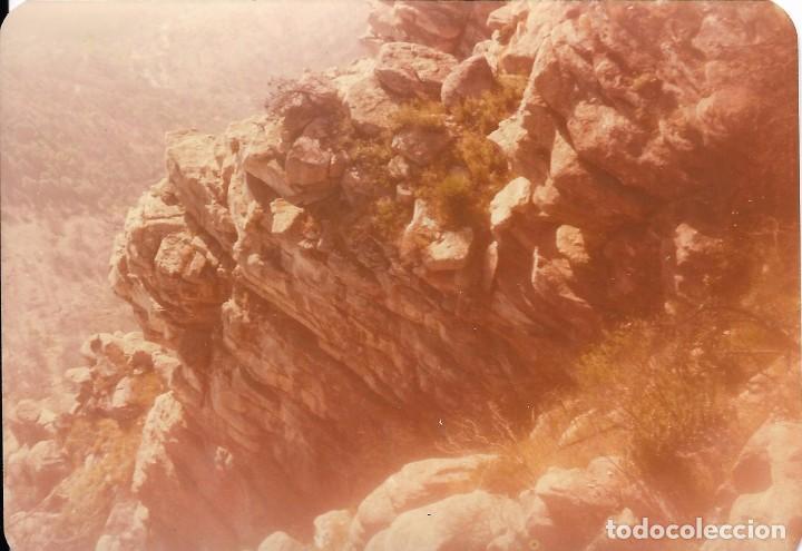 Fotograf&iacute;a antigua: *** D795 - FOTOGRAFIA - PAISAJE DE MONTA&Ntilde;A