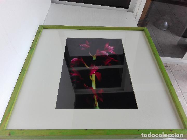 Fotograf&iacute;a antigua: FOTOGRAFIA DE CARLOS DE PAZ - Foto 1