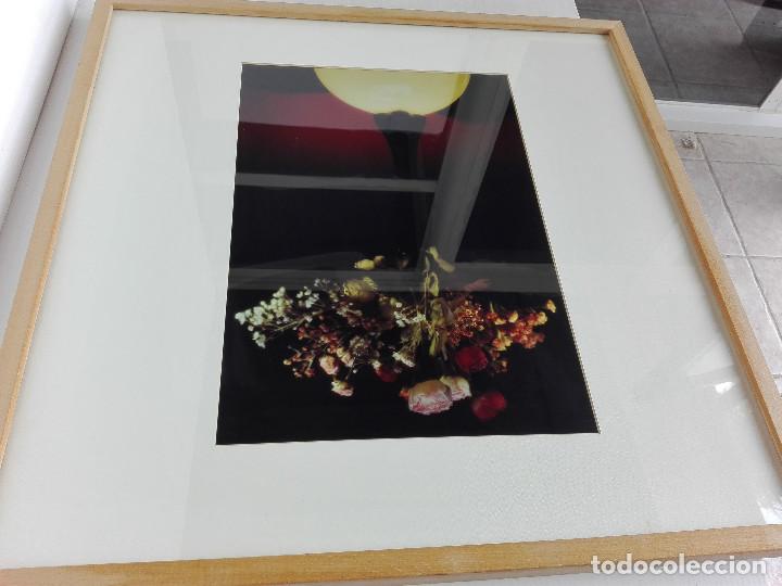 Fotograf&iacute;a antigua: FOTOGRAFIA DE CARLOS DE PAZ - Foto 1