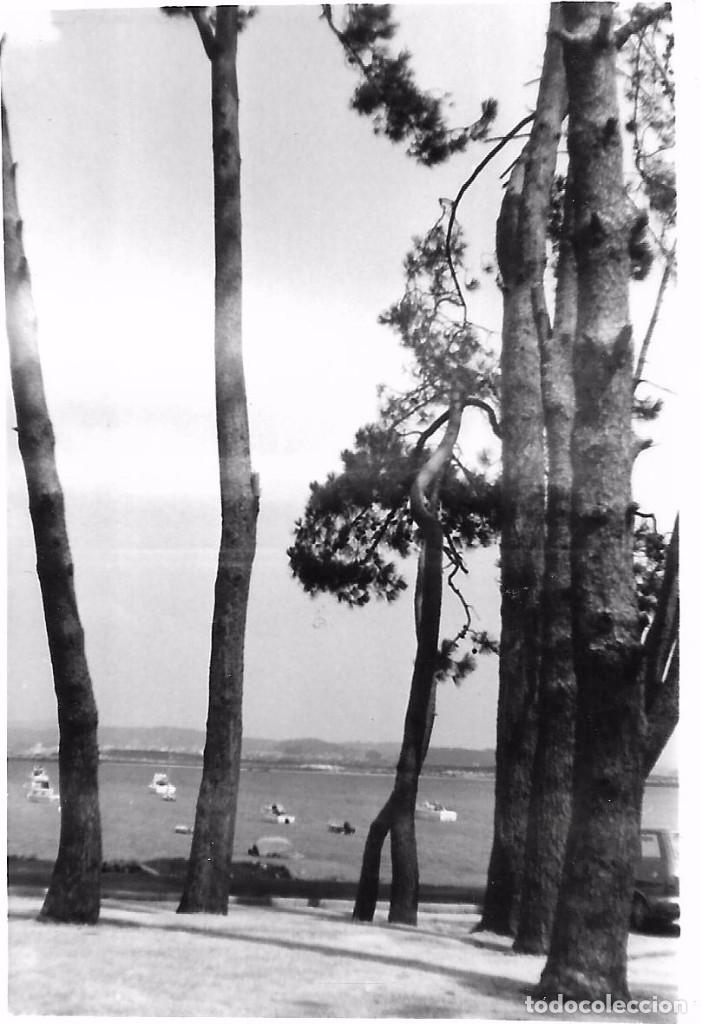 Fotograf&iacute;a antigua: ** T235 - FOTOGRAFIA - PAISAJE - LA TOJA