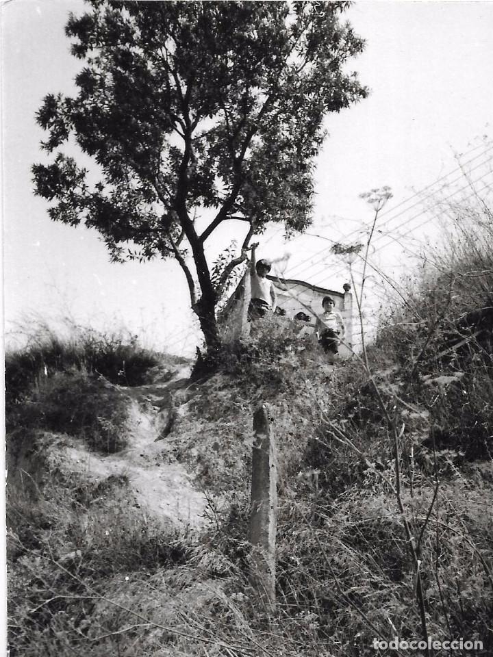 Fotografia antiga: *** QW482 - FOTOGRAFIA - JOVENCITOS JUNTO A UN ARBOL