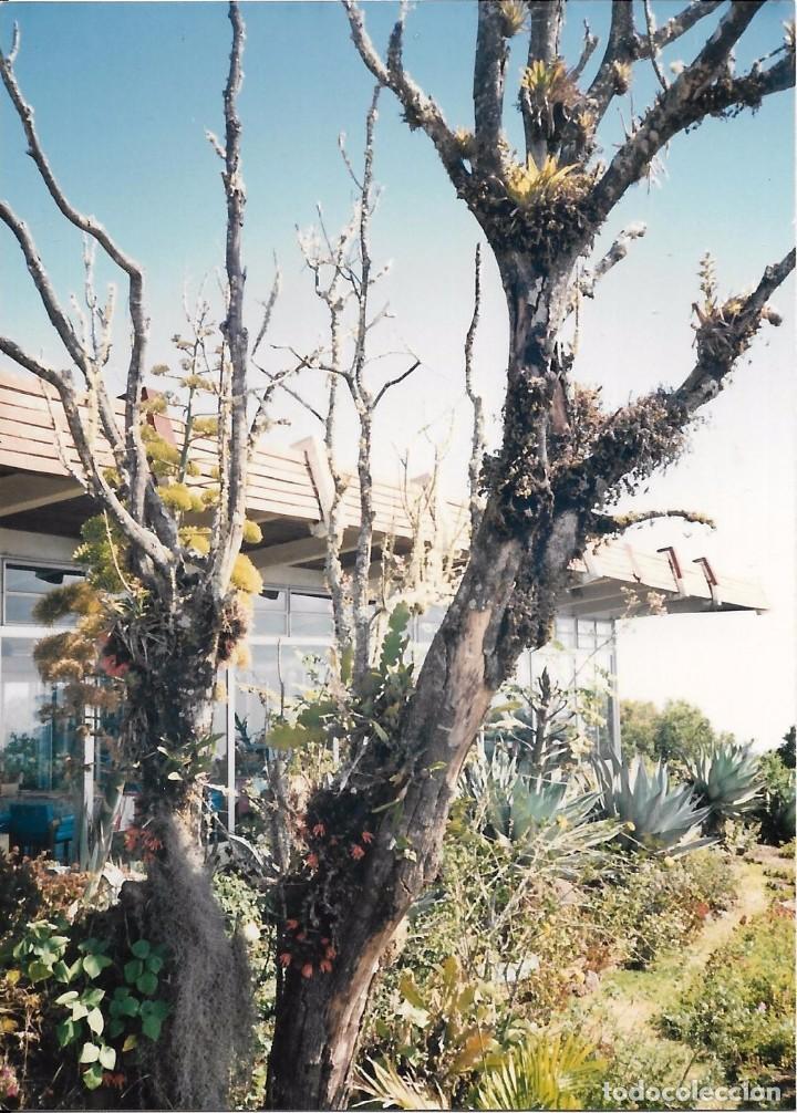 Fotografia antica: :::: PH108 - FOTOGRAFIA - PAISAJE