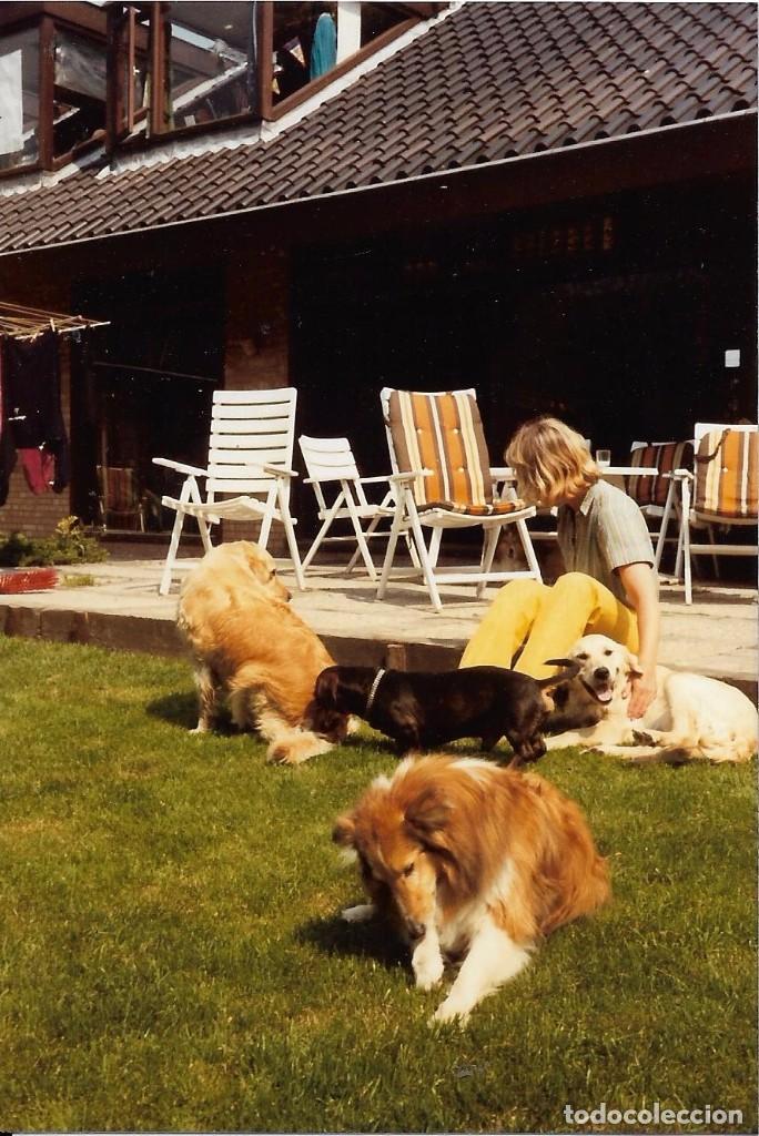 Fotografia antiga: ** AM458 - FOTOGRAFIA - JOVEN CON CUATRO PERRITOS - RF. V80