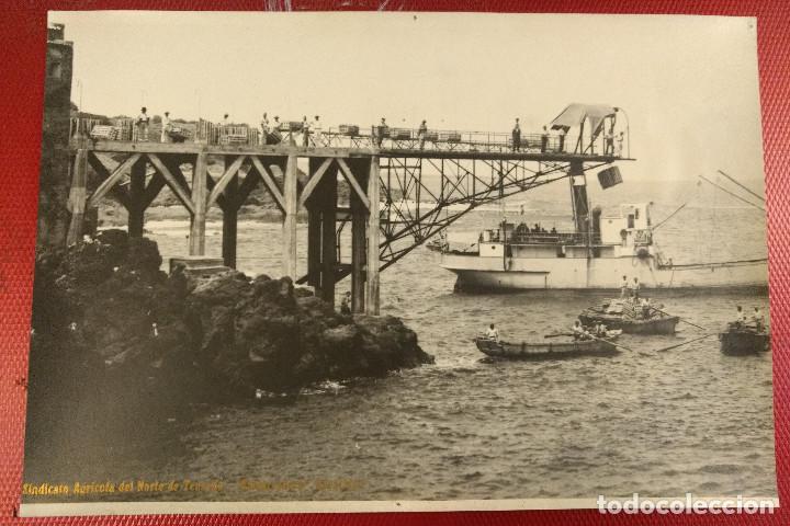 Fotografia antiga: Fotograf&iacute;a 27 x 18 cm Sindicato Agr&iacute;cola del Norte. Baena. Embarcadero Garachico Tenerife.
