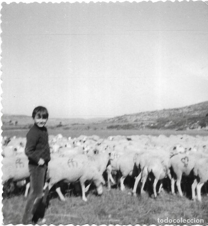 Alte Fotografie: == AD728 - FOTOGRAFIA - JOVENES EN UN BONITO PAISAJE