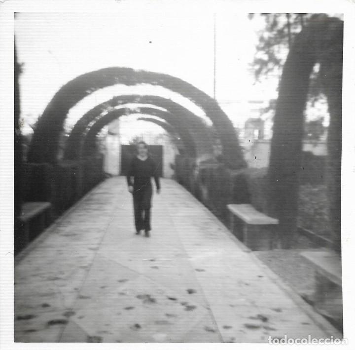 Alte Fotografie: == AD729 - FOTOGRAFIA - JOVEN EN UN PARQUE
