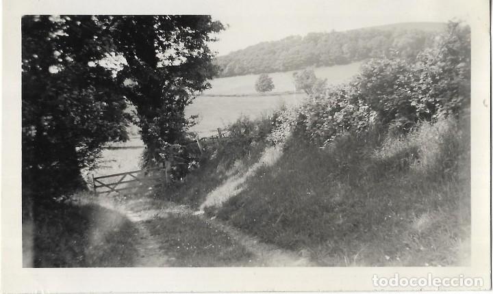 Antique Photography: == AD559 - FOTOGRAFIA - PAISAJE