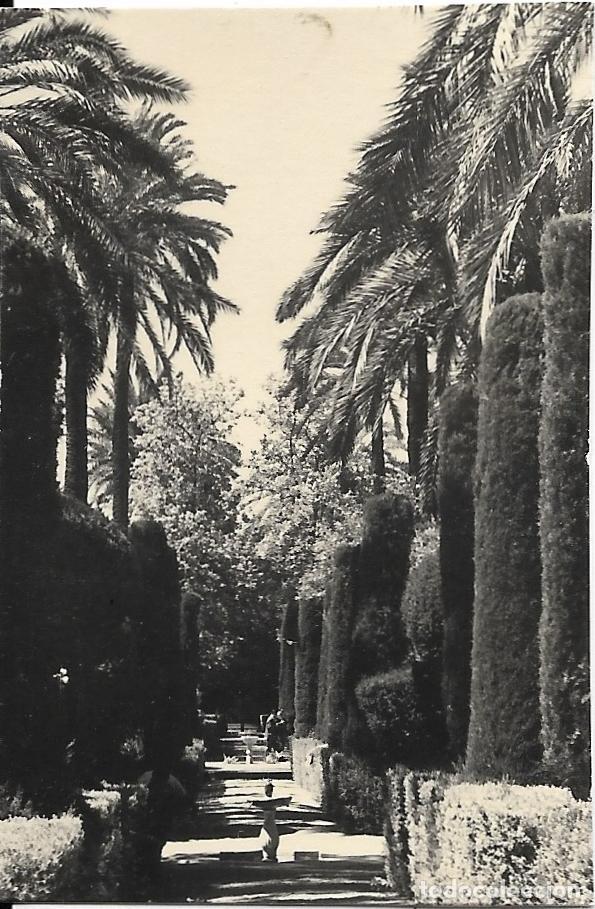 Fotografia antica: == AD805 - FOTOGRAFIA - PAISAJE - 7,5 X 5 CM.